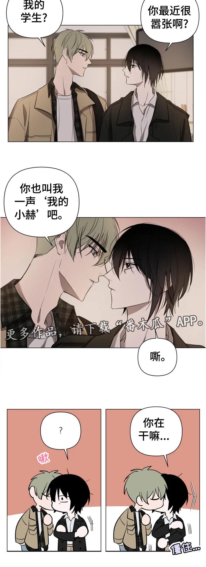 第15章：公告通知
