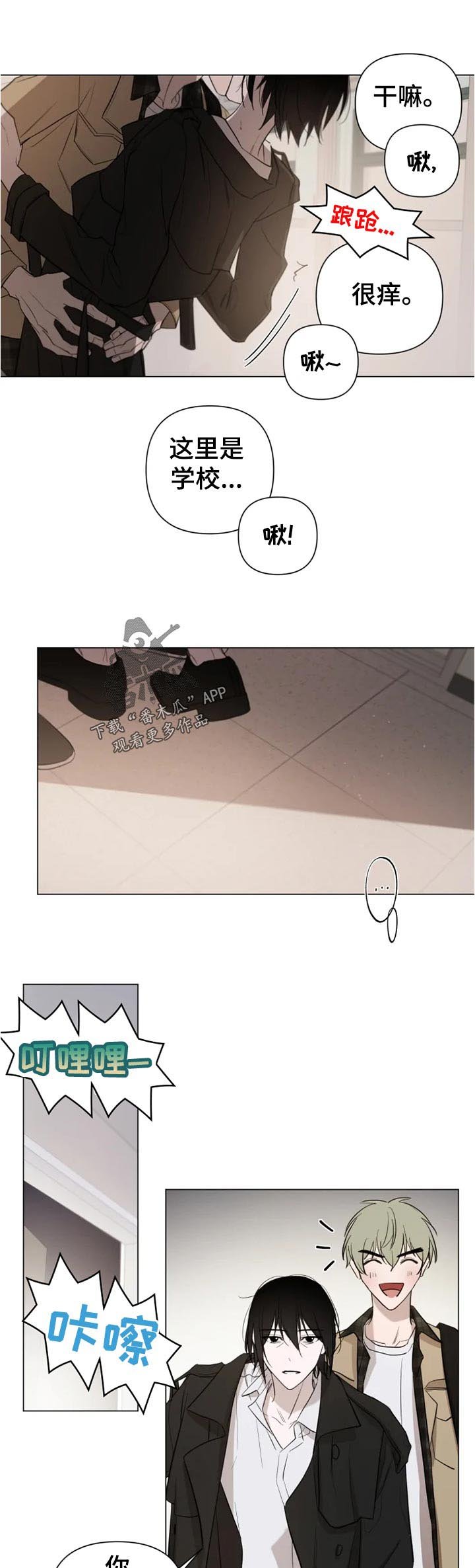 第15章：公告通知