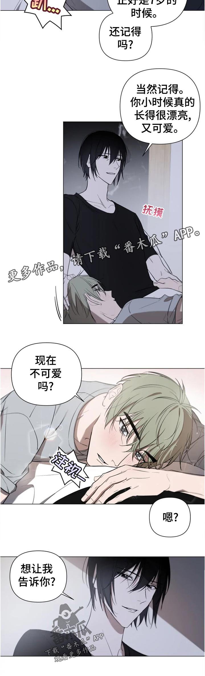 第15章：公告通知