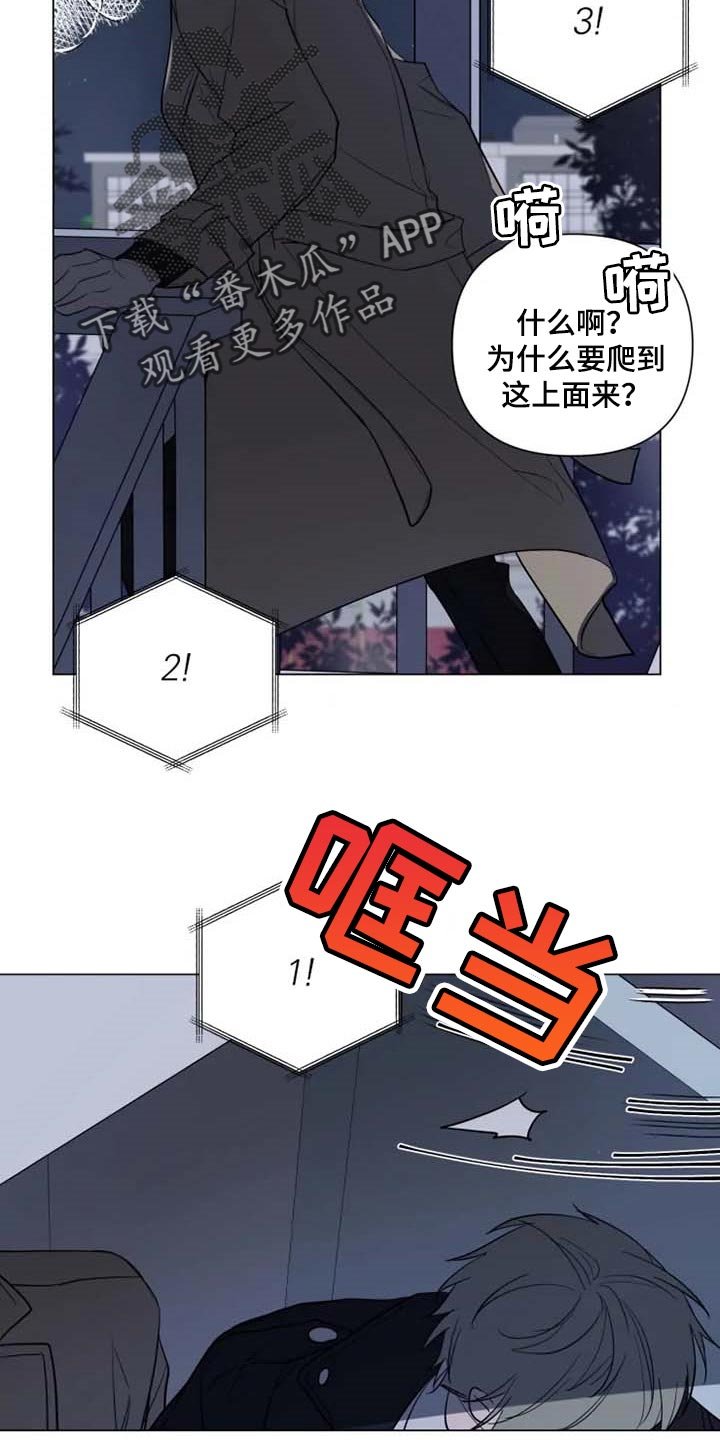 第47章：烟花