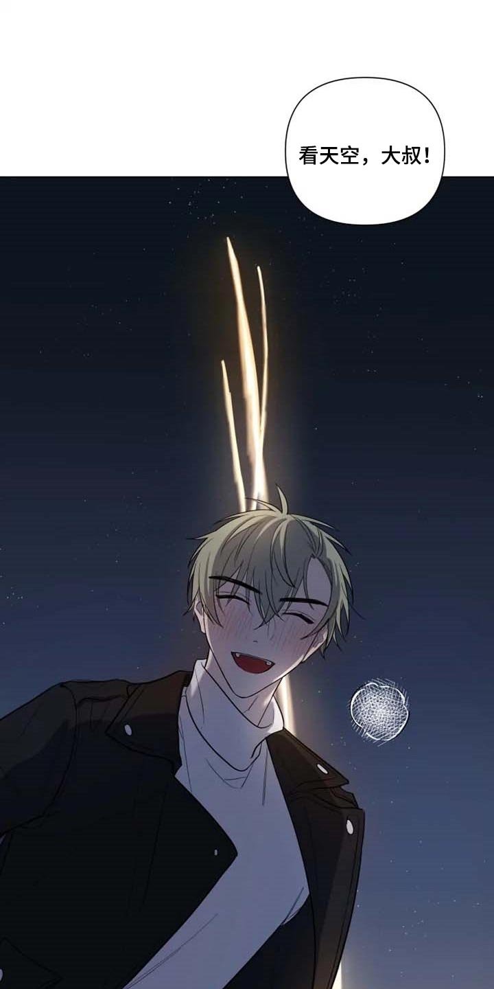 第47章：烟花