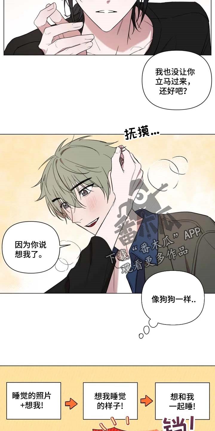 第55章：像狗狗一样