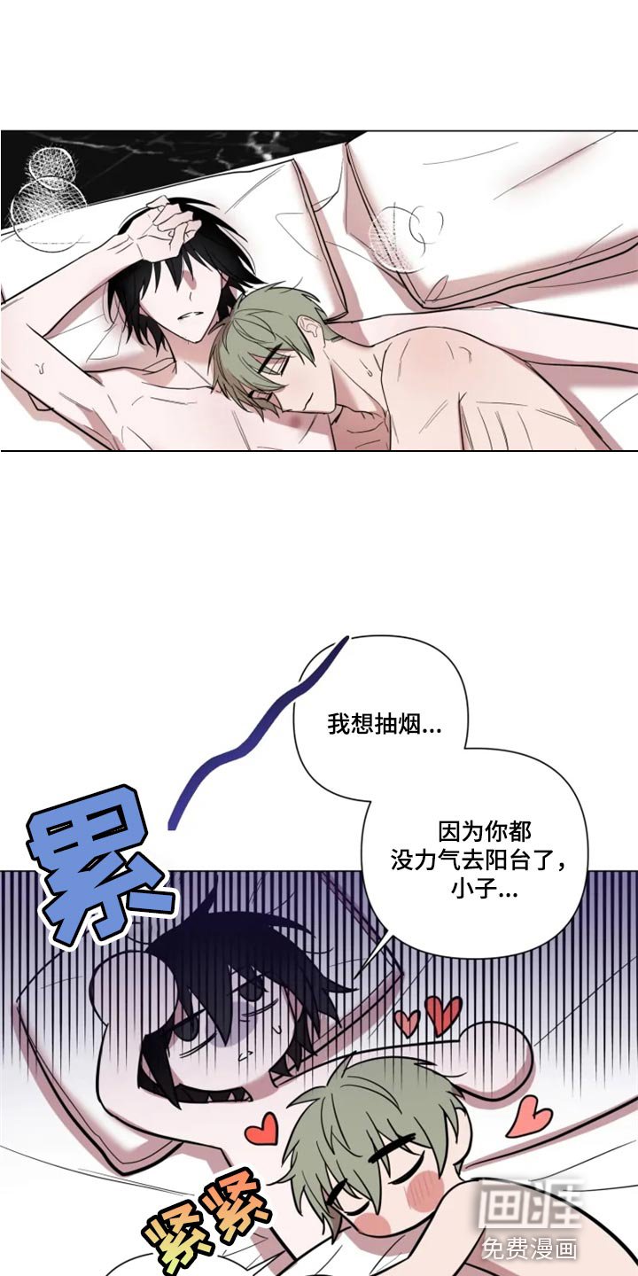第62章：完美的计划
