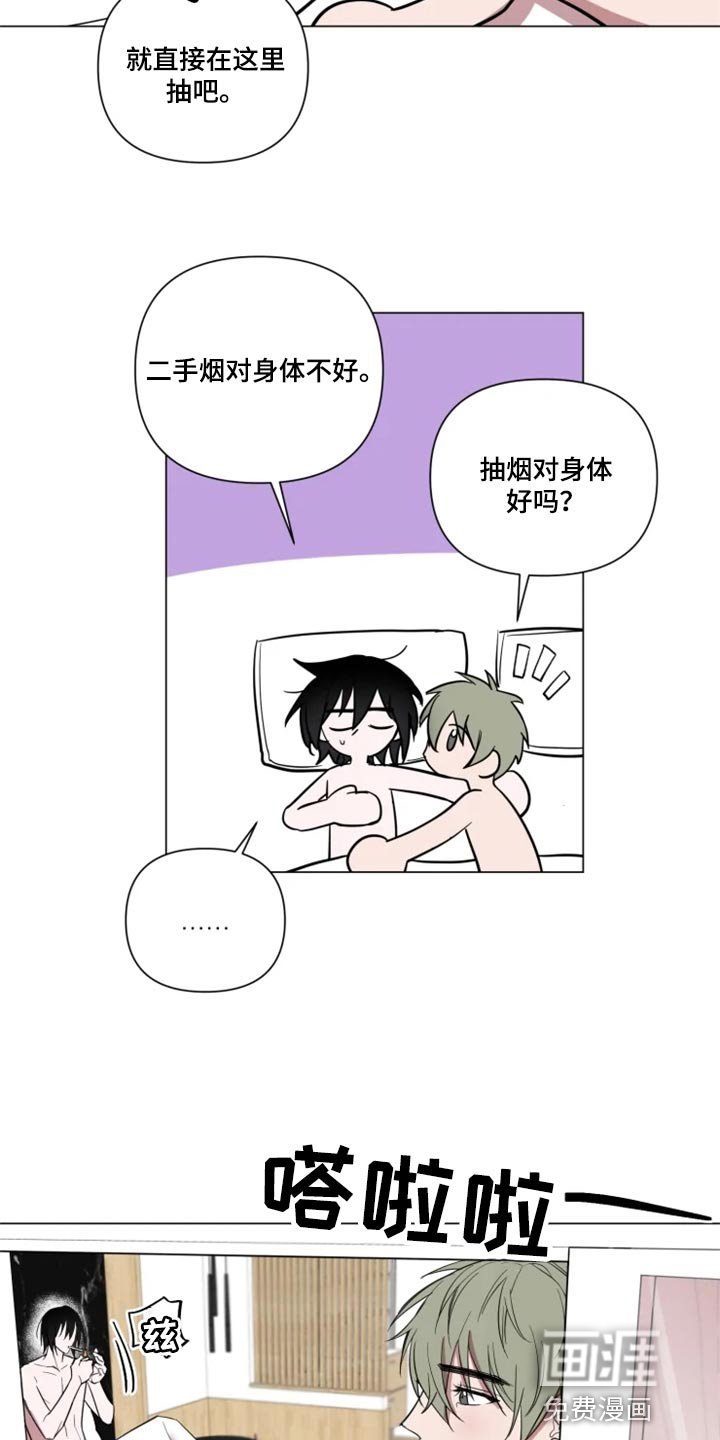 第62章：完美的计划