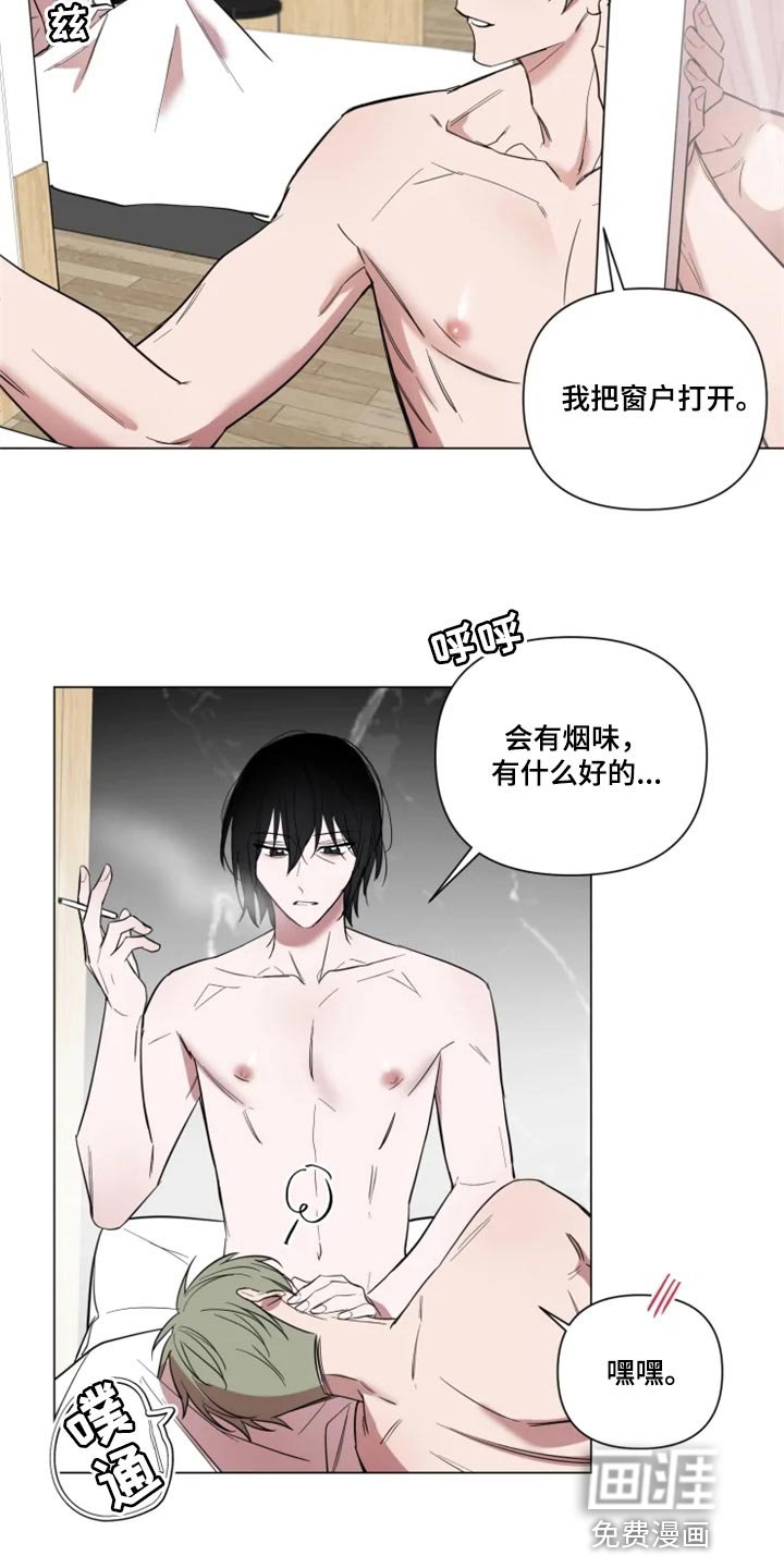 第62章：完美的计划