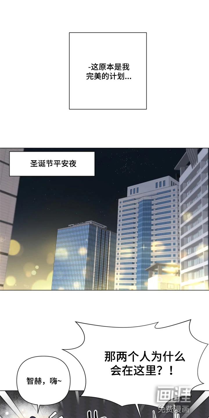 第62章：完美的计划