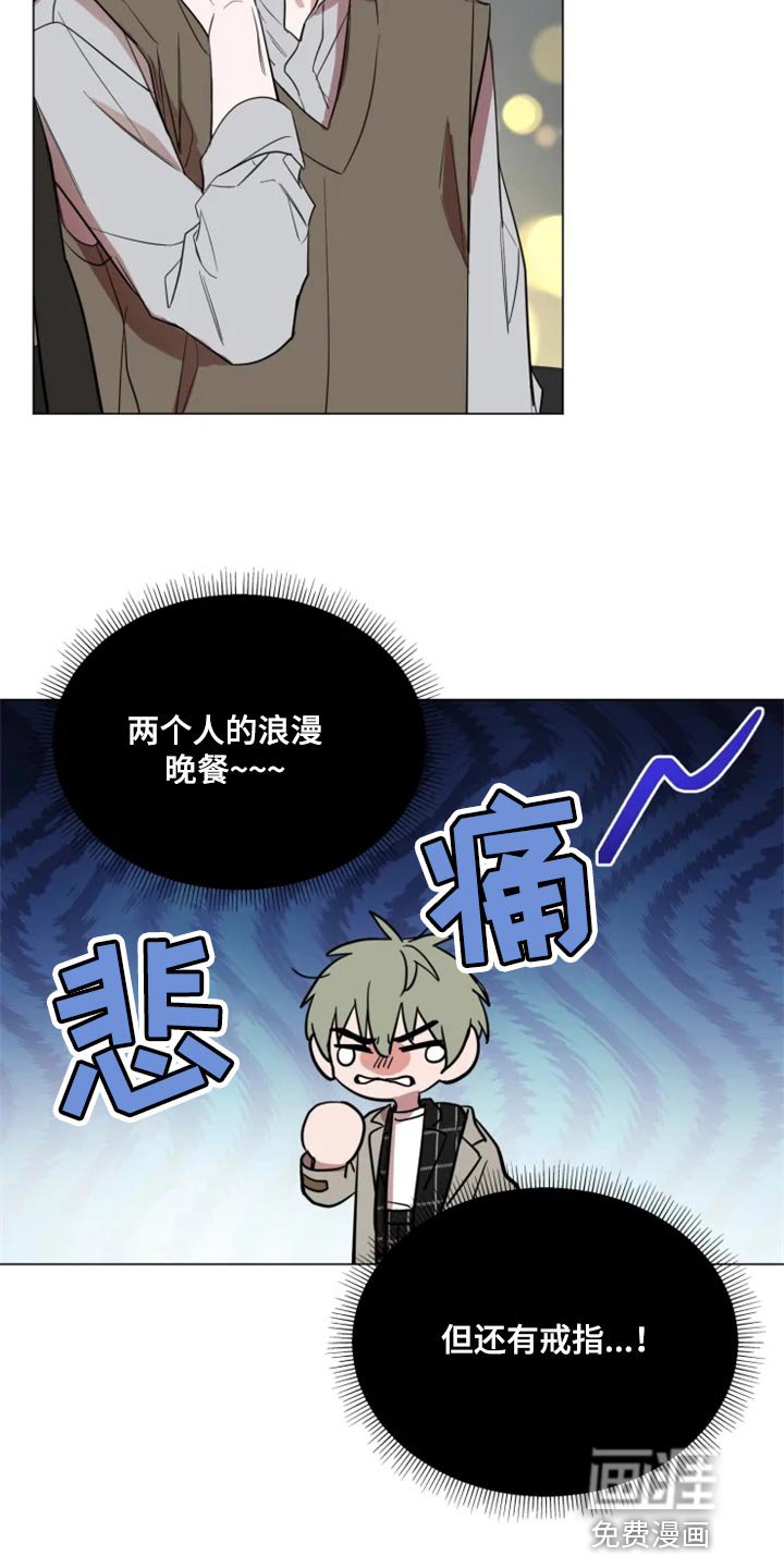 第62章：完美的计划