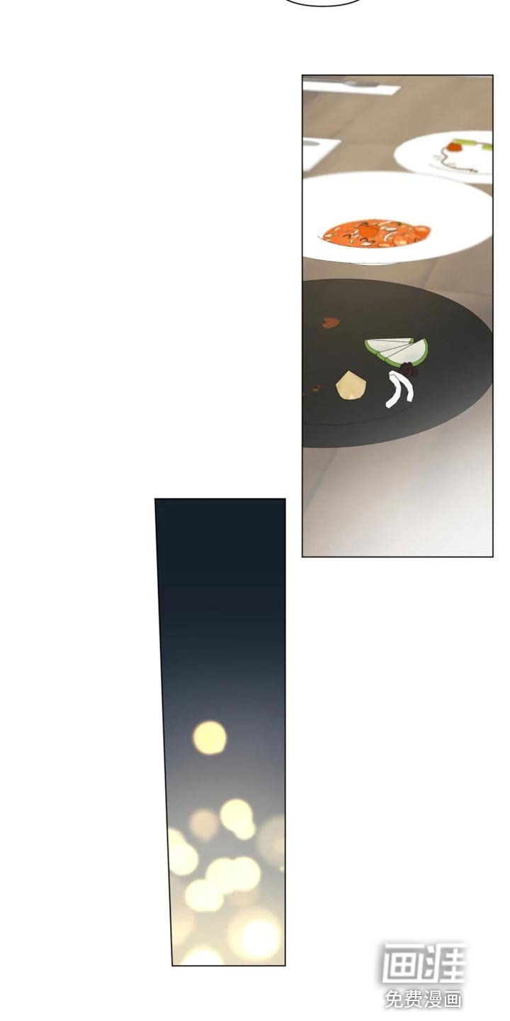 第62章：完美的计划