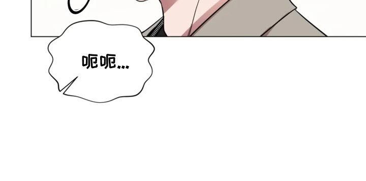 第62章：完美的计划
