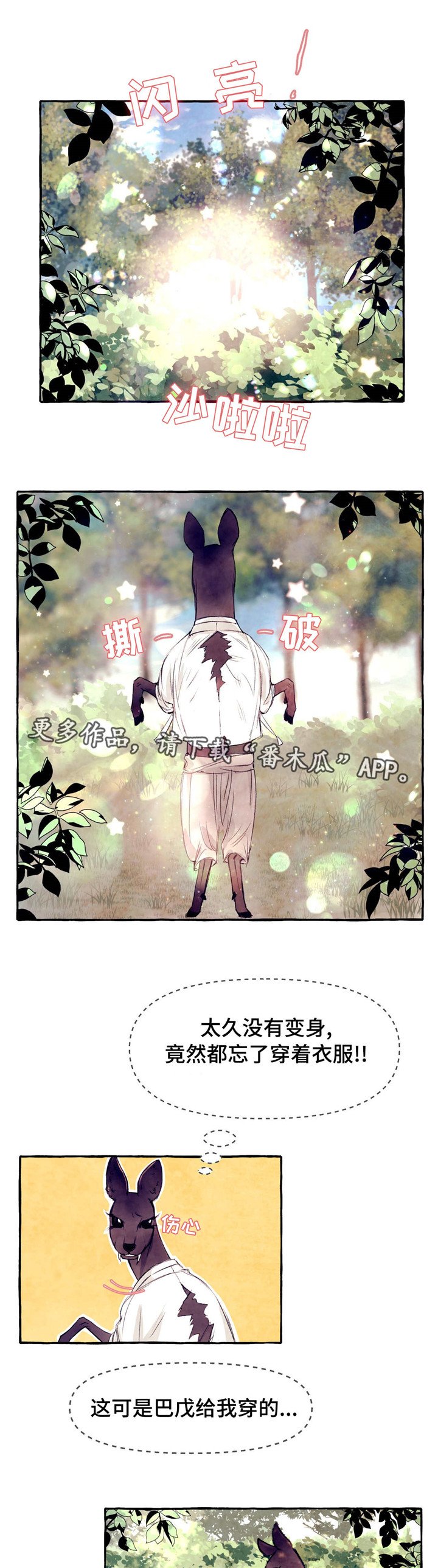 第19章：疯狗