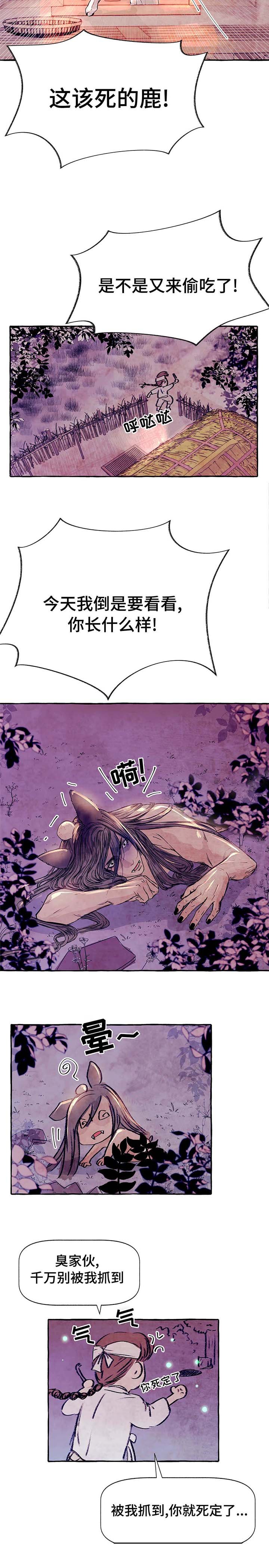 第4章：这是什么