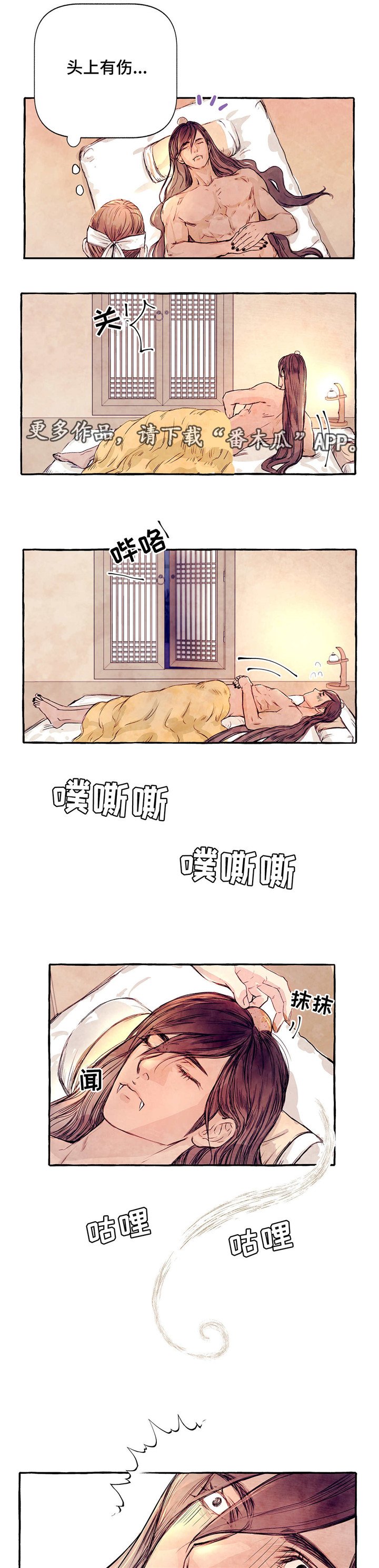 第6章：饲养