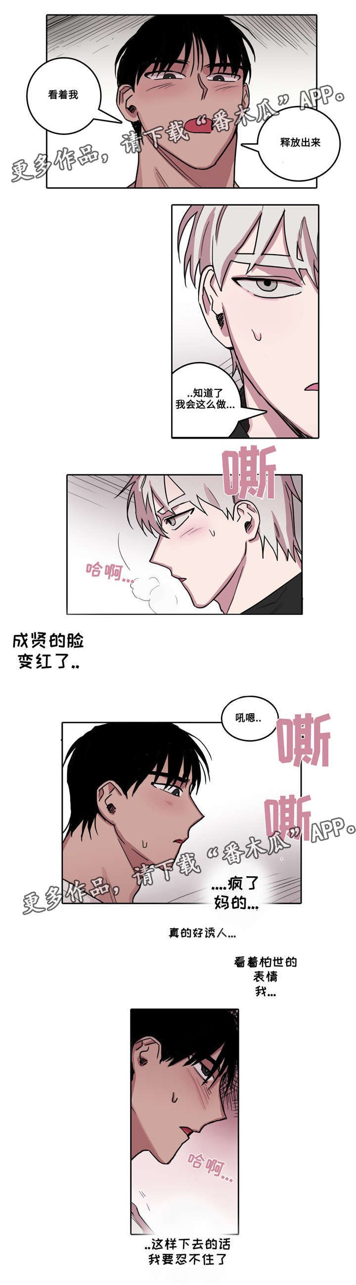 第28章：何为单纯