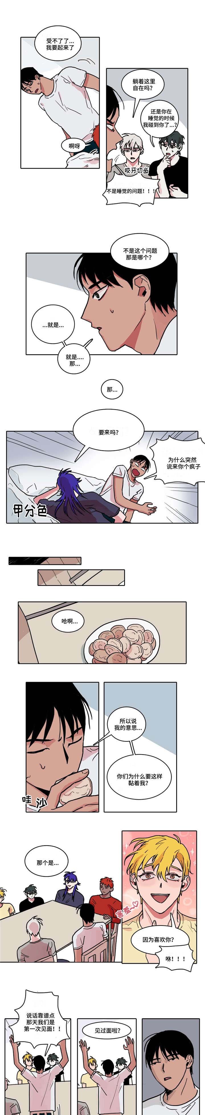 第3章：一见钟情
