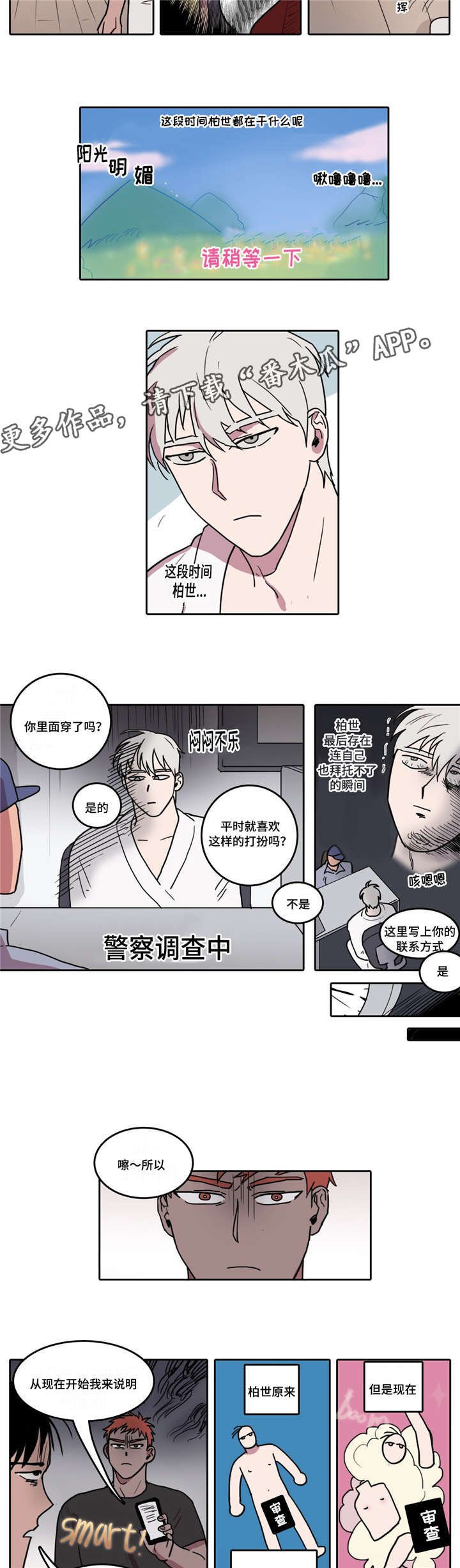 第8章：柏世的重要性