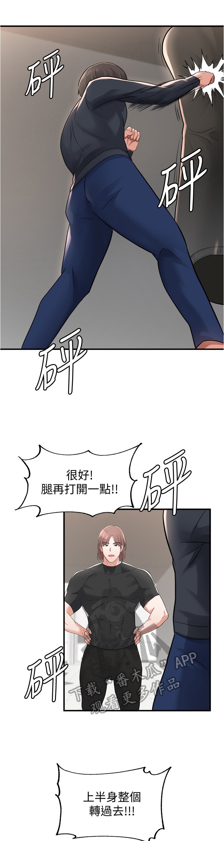 第31章：拳击