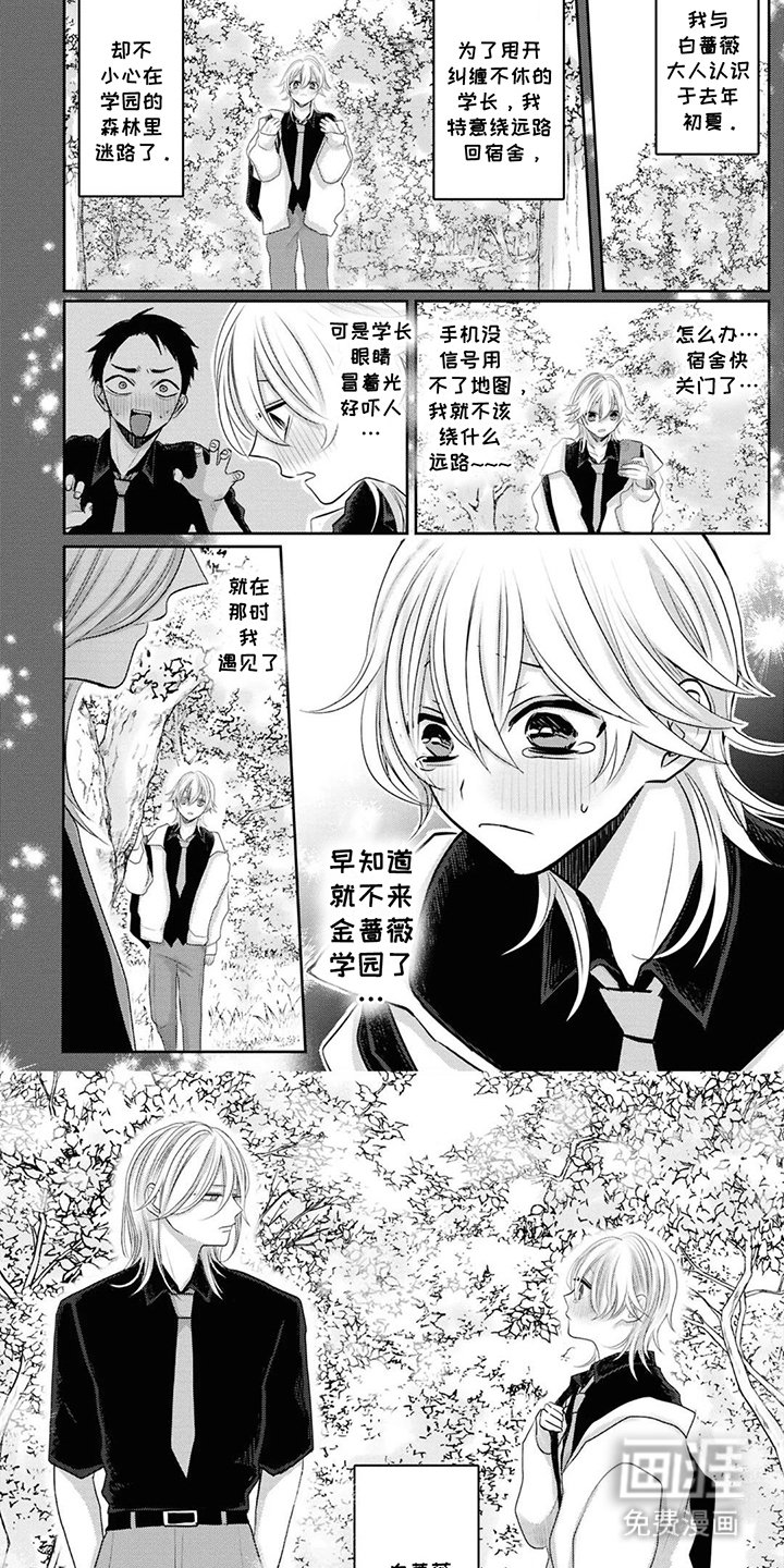 第14章：喜欢的人