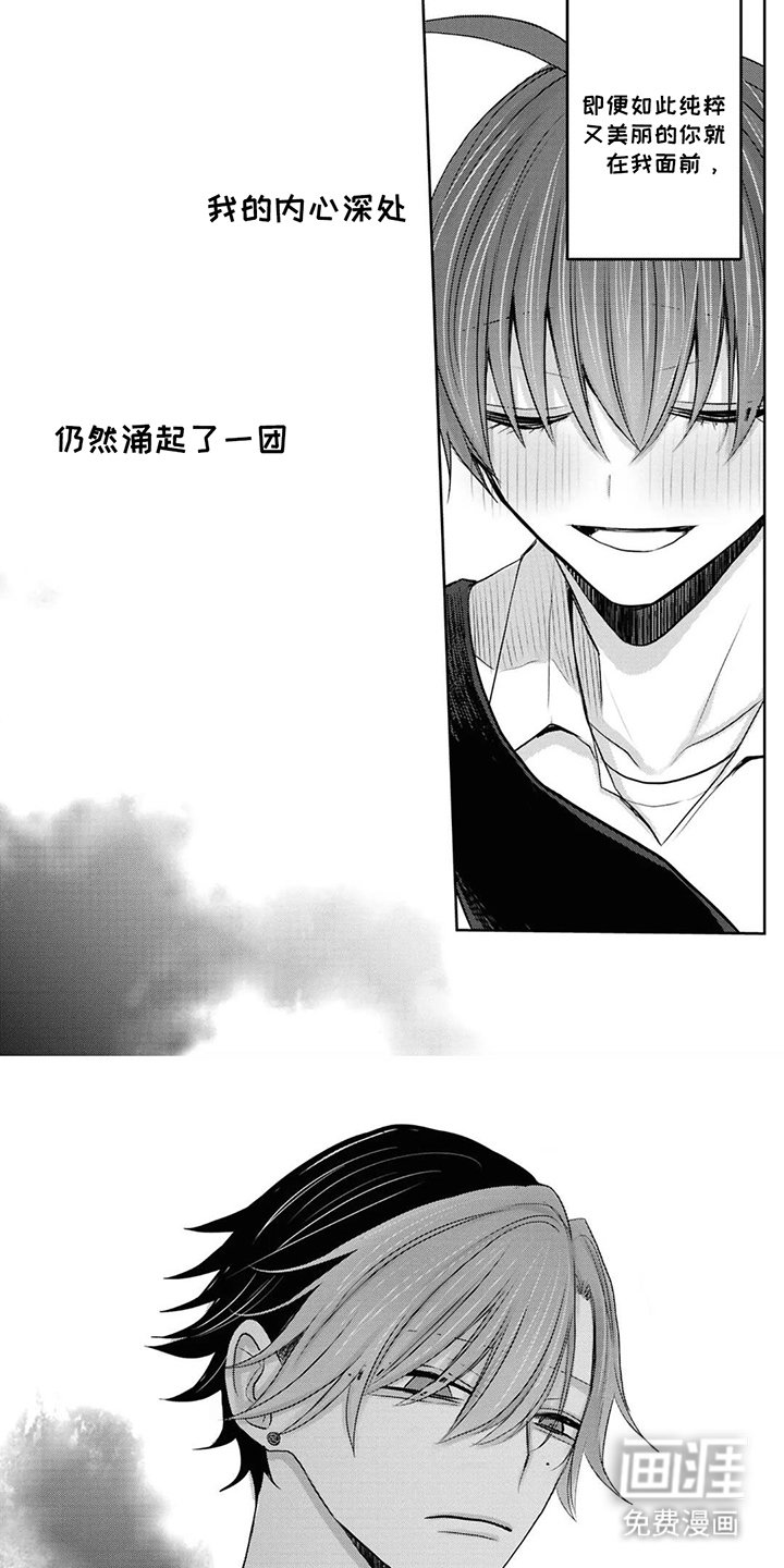 第20章：豚鼠