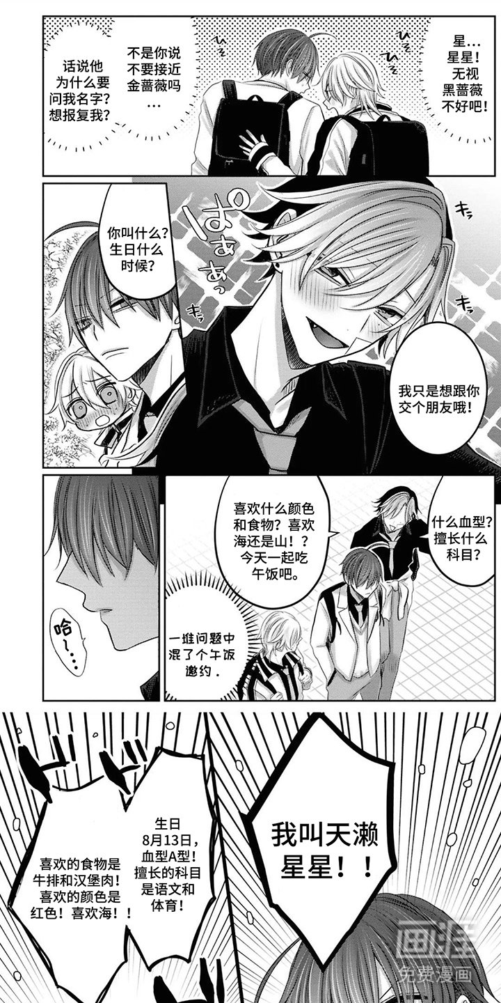 第5章：被牛排吸引