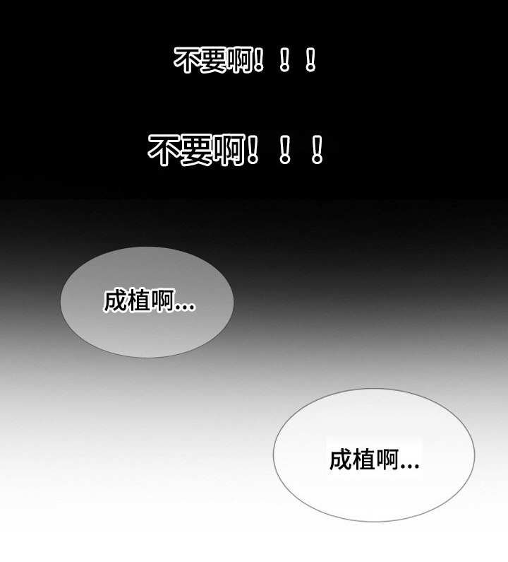 第11章：假日