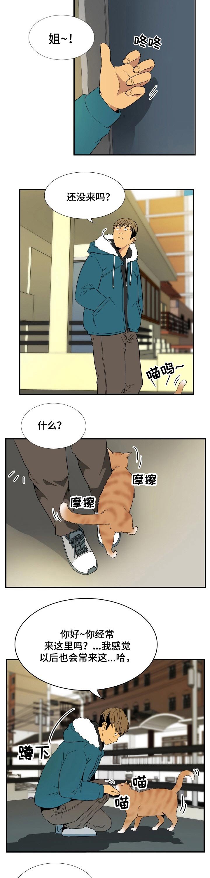 第26章：猫咪