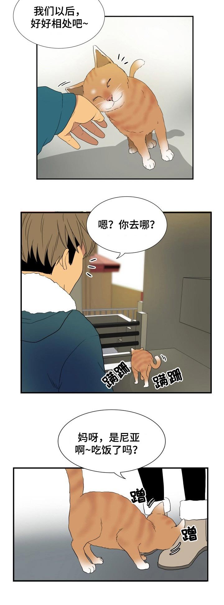 第26章：猫咪