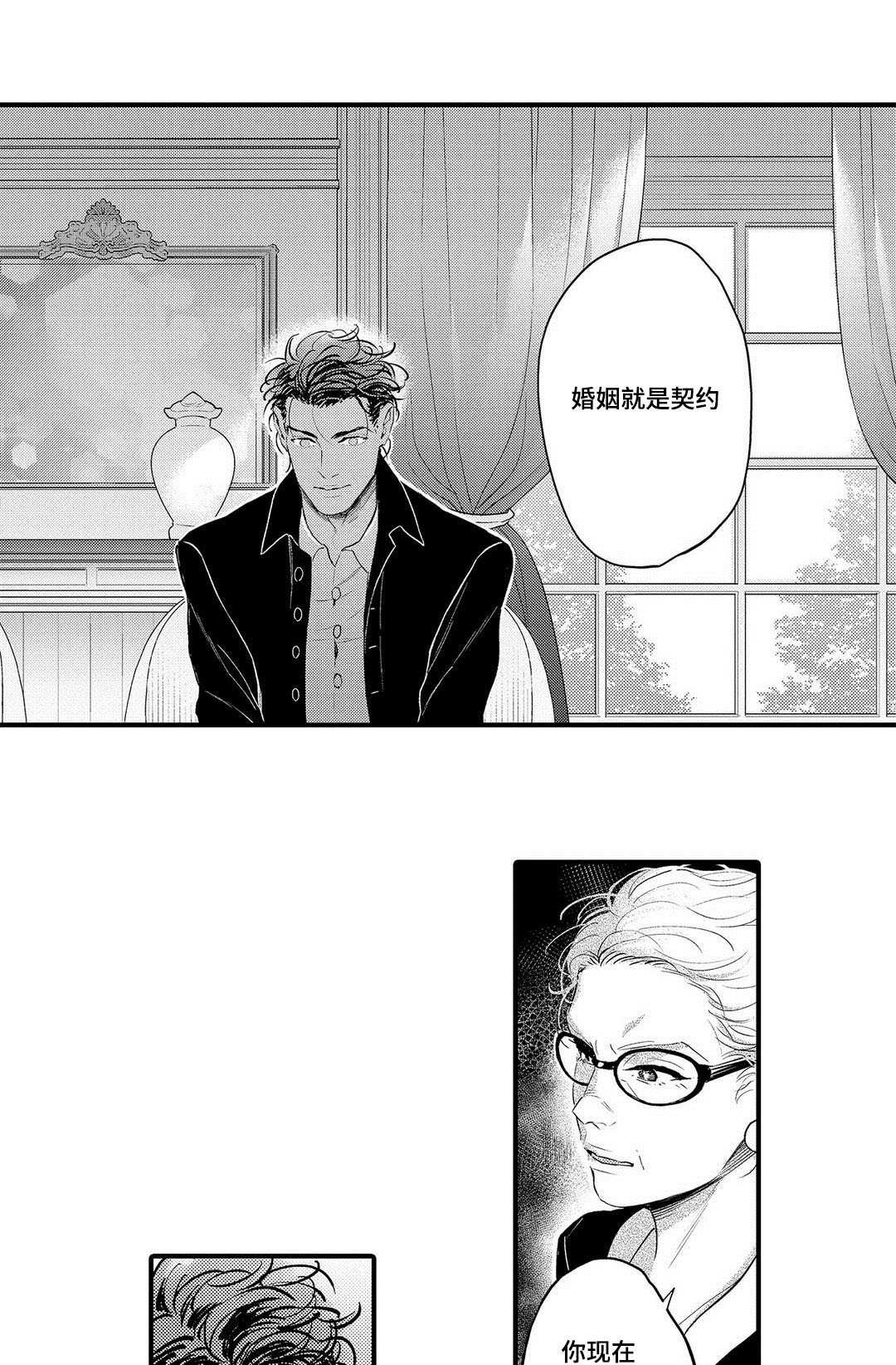 第15章：机会