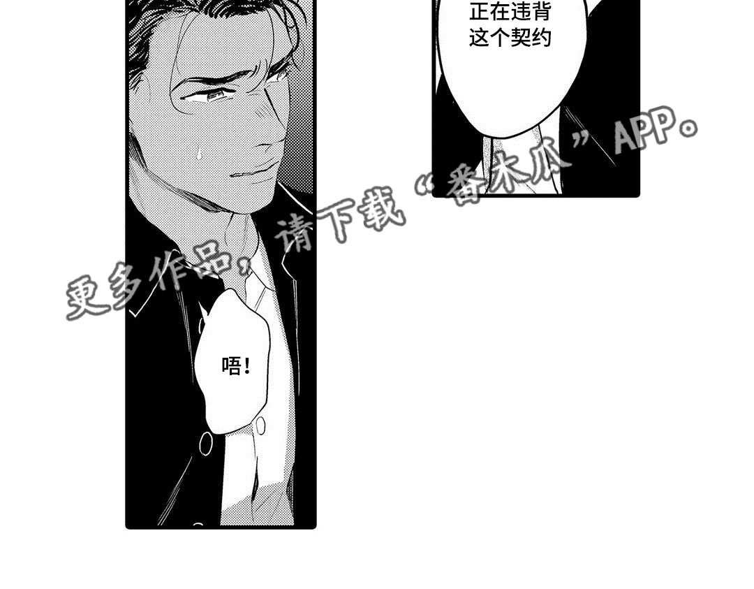 第15章：机会