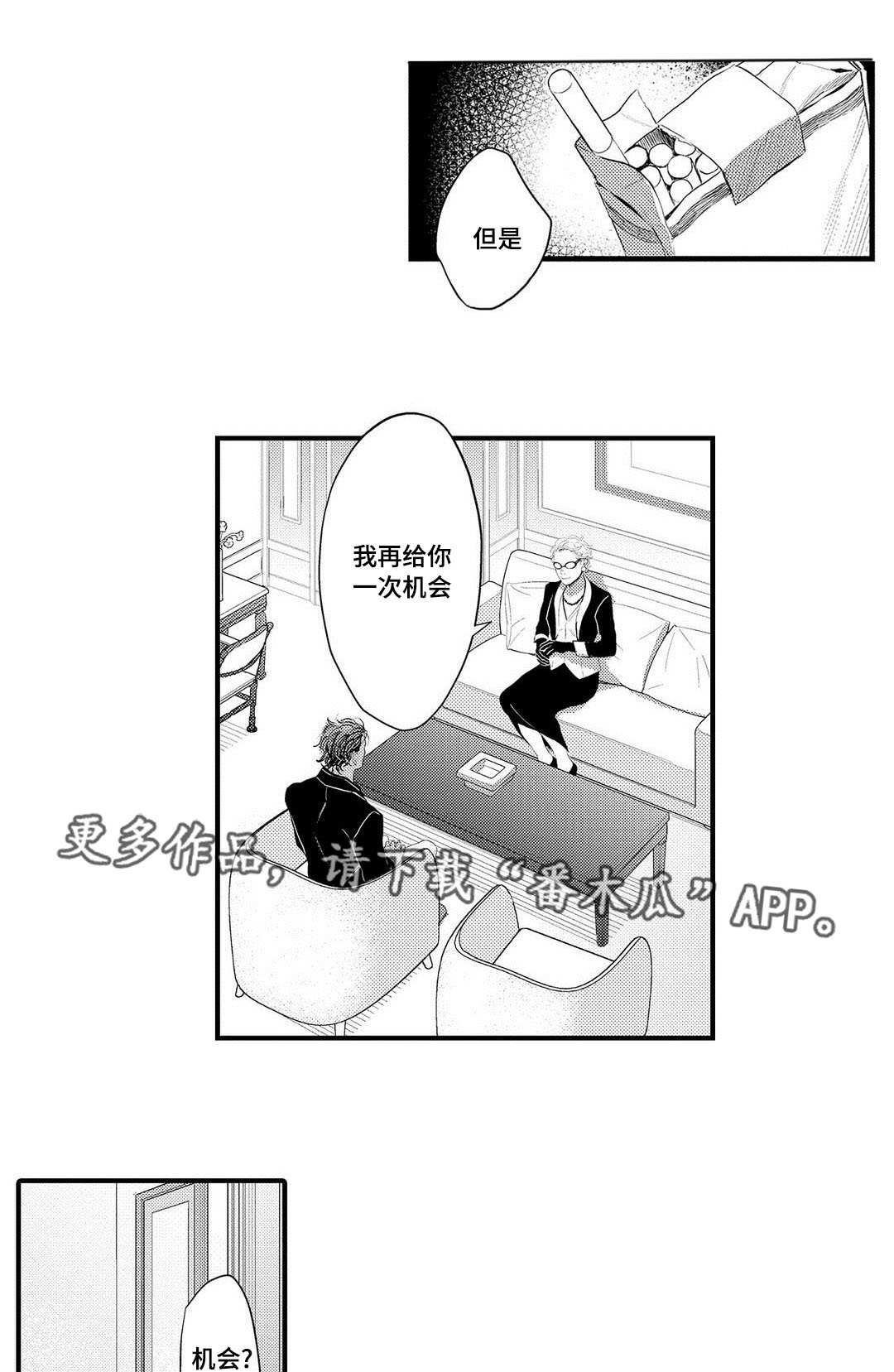 第15章：机会