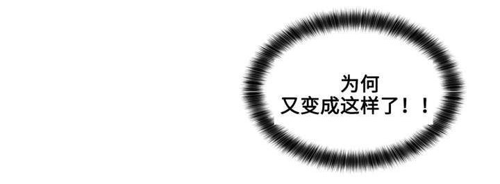 第26章：哪句是真的