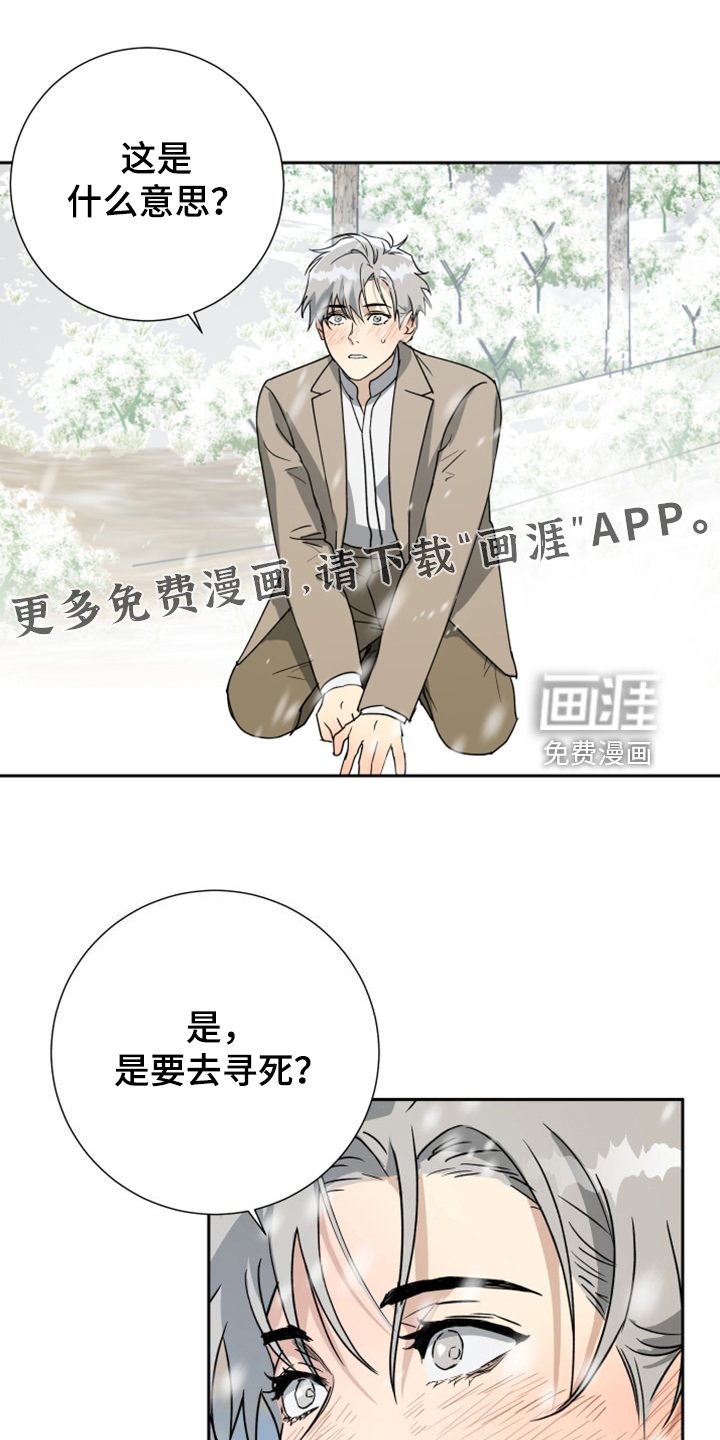 第89章：【第二季】是要寻死？