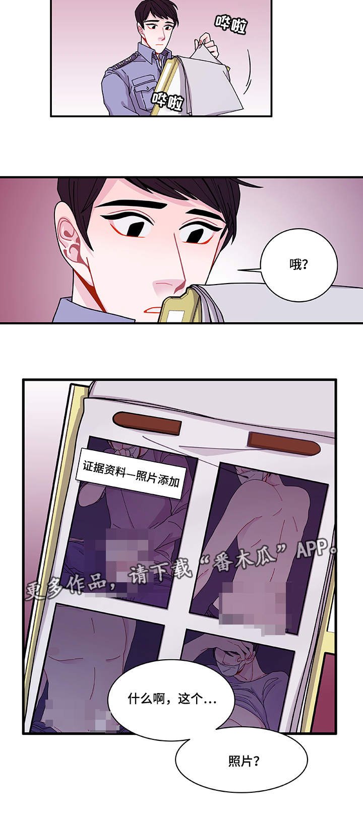 第28章：照片
