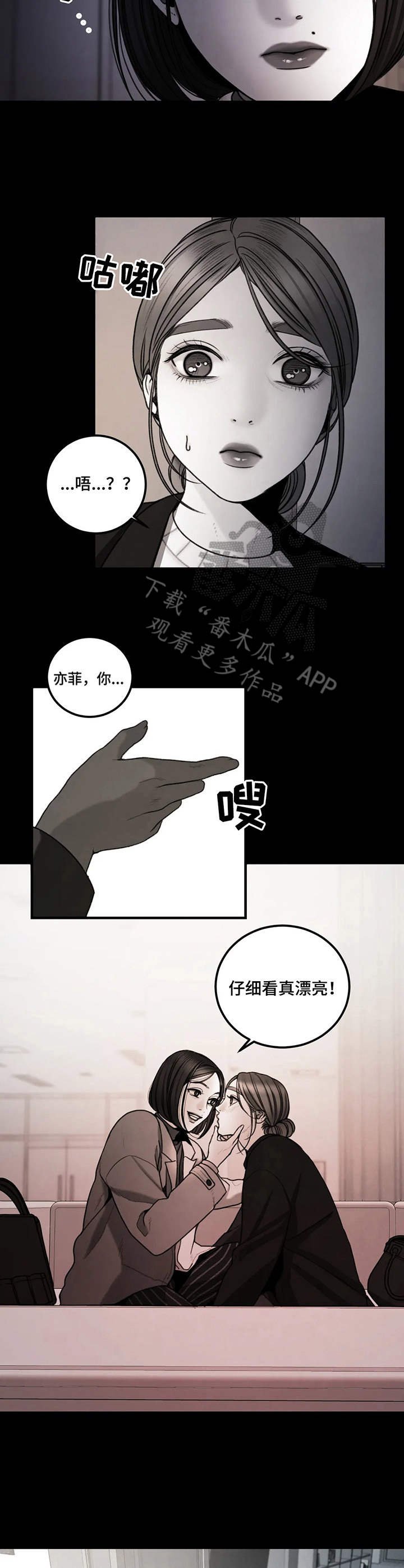 第13章：欣赏