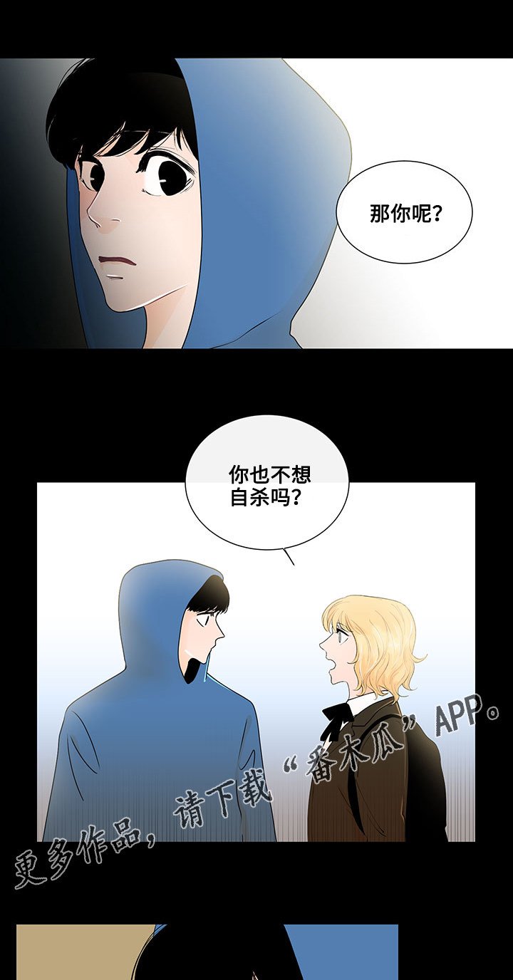 第19章：相遇