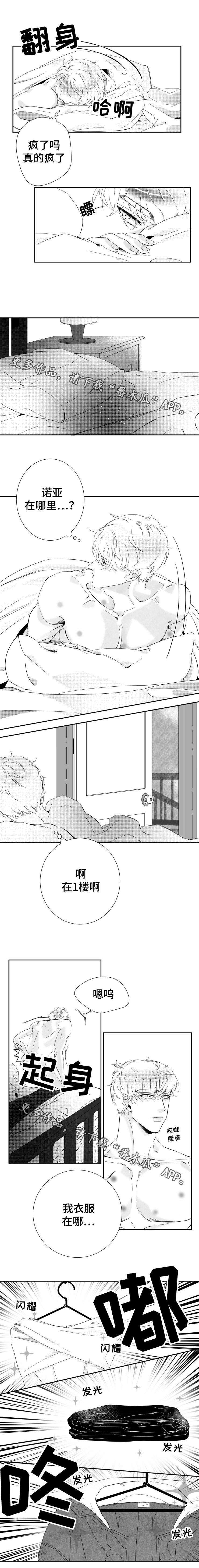 第15章：在爱情里沉沦