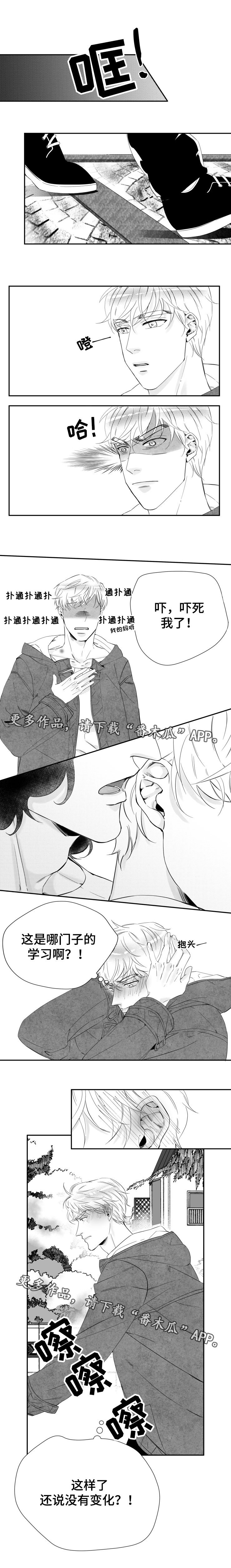 第16章：恋人关系
