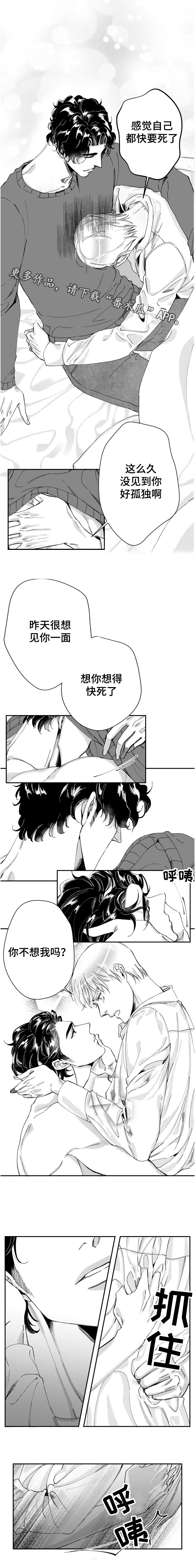 第41章：我很幸福（完结）