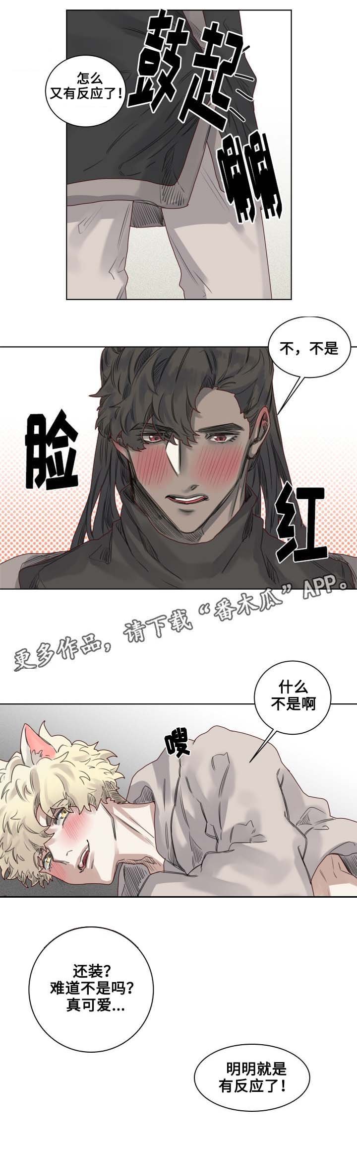 第10章：套装后遗症