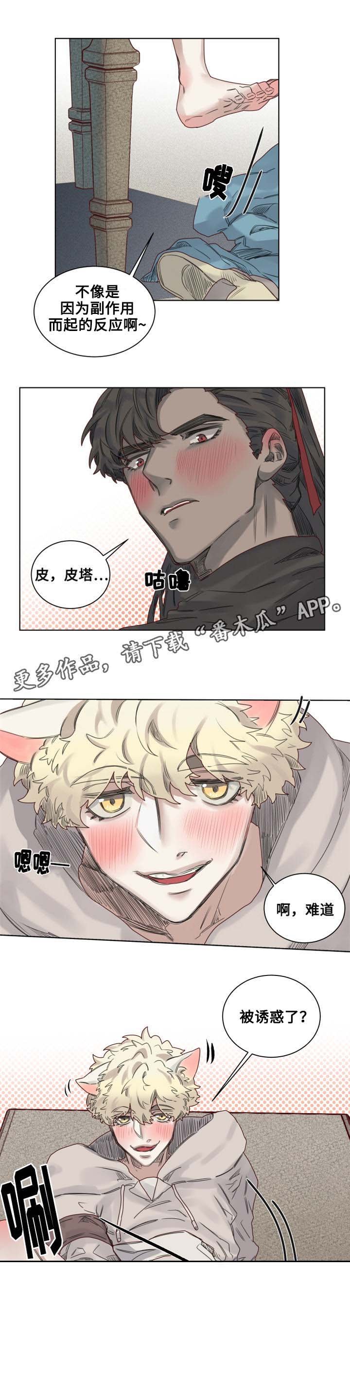 第10章：套装后遗症