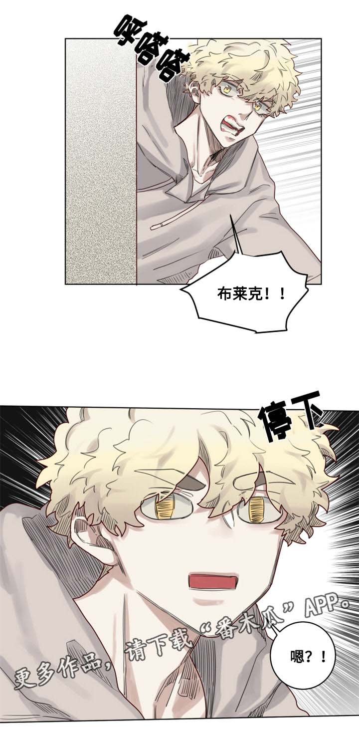 第14章：国立图书馆