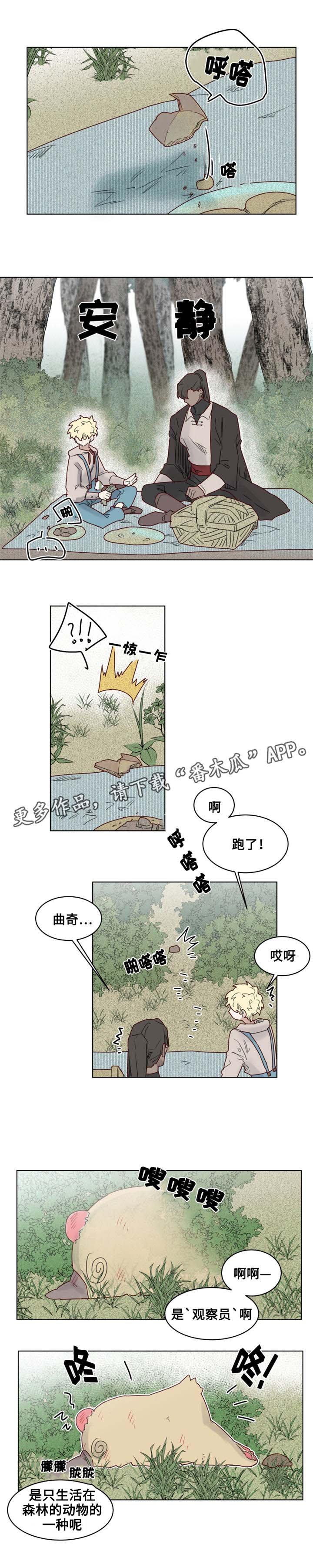 第19章：观察者