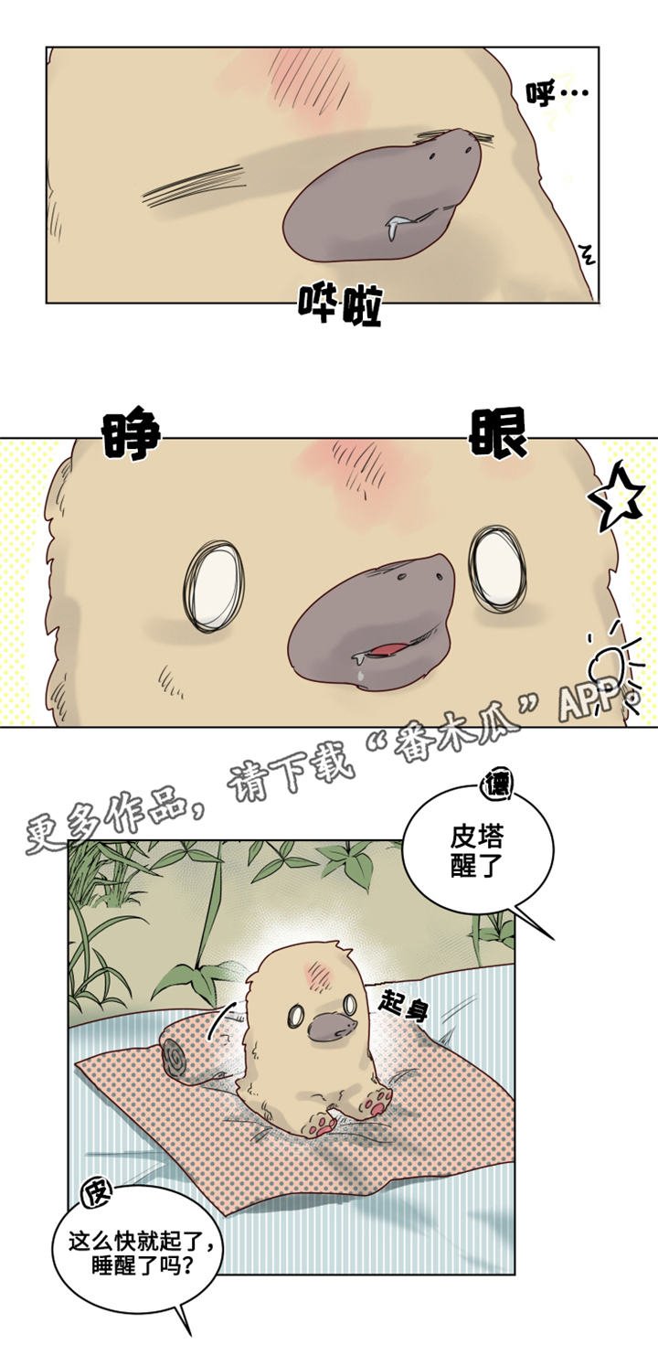 第19章：观察者