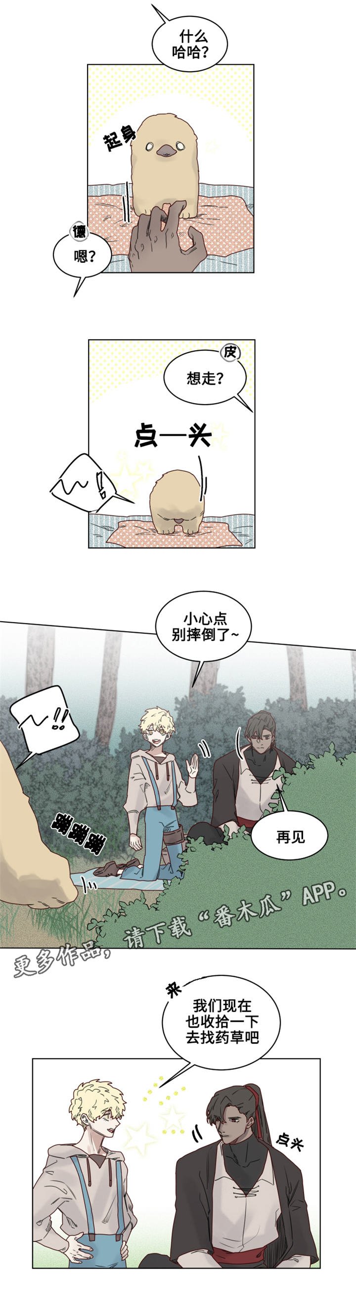 第19章：观察者