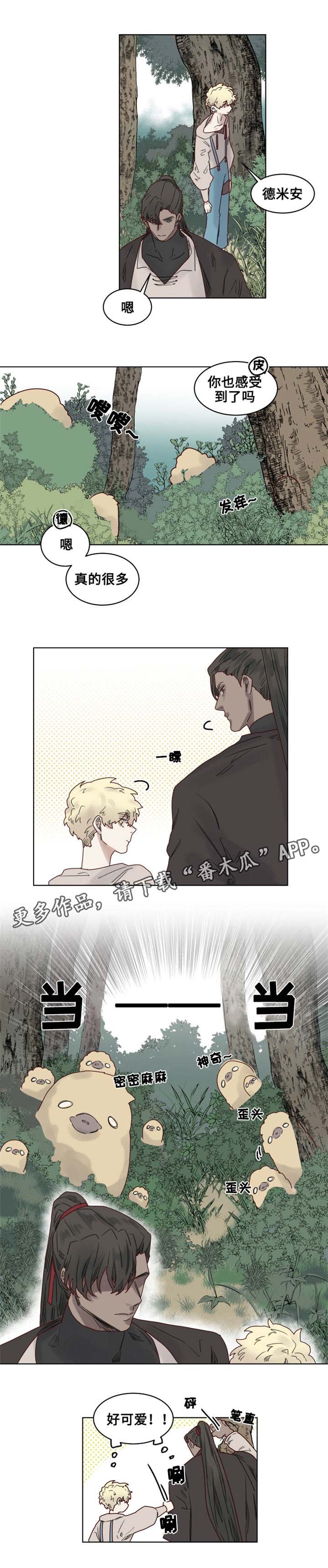 第19章：观察者