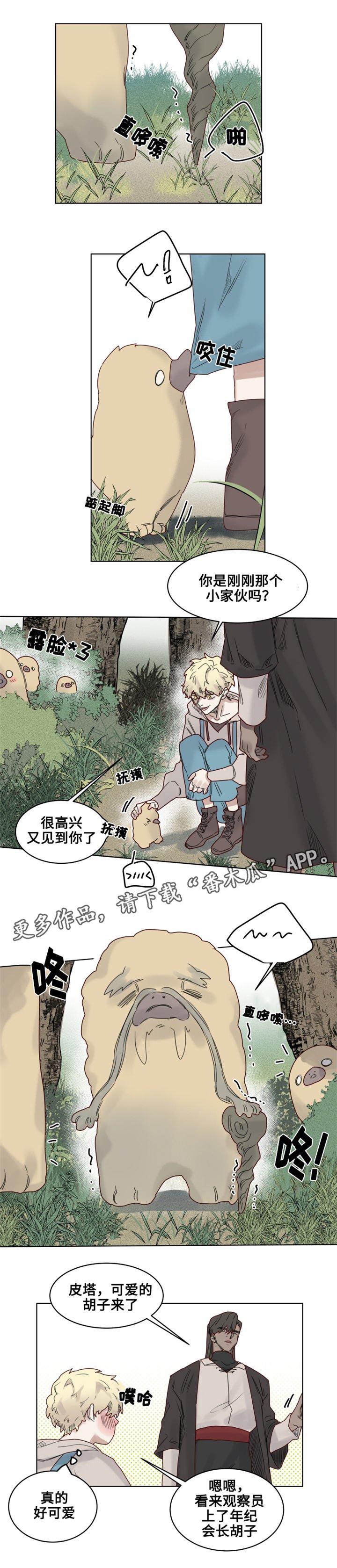 第19章：观察者