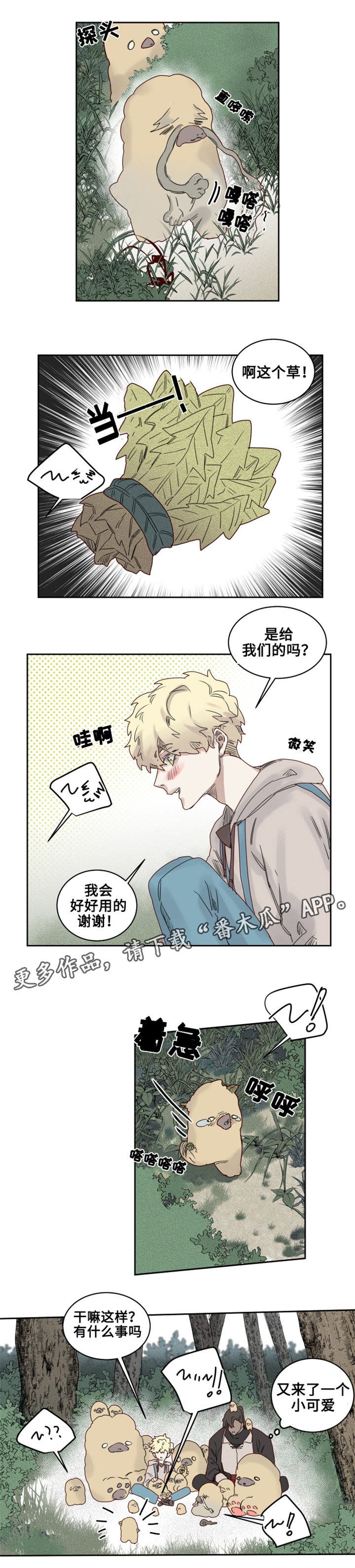 第19章：观察者