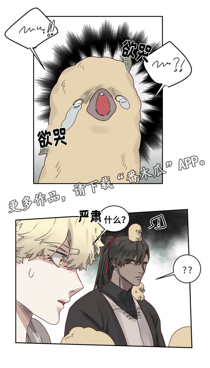 第19章：观察者