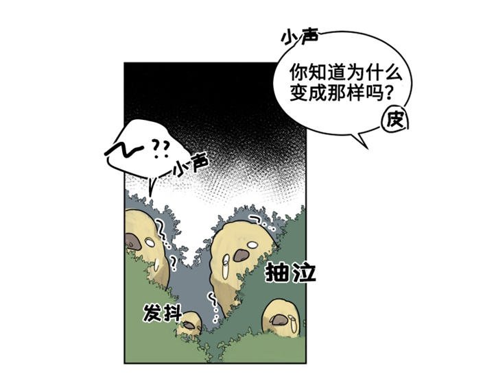 第20章：陌生的毒花