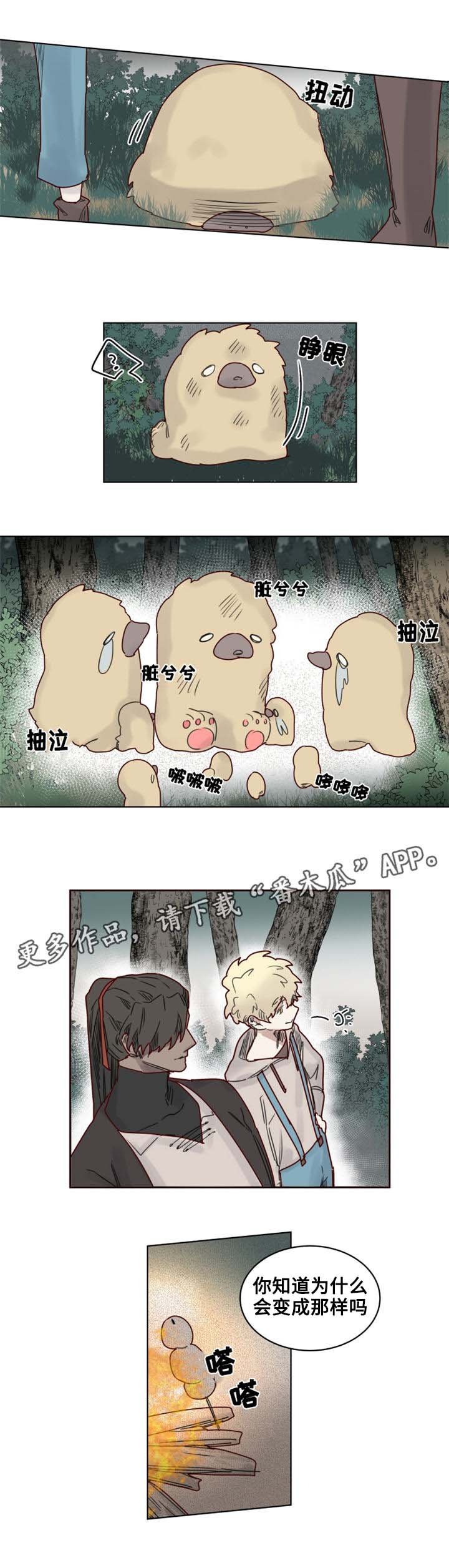 第20章：陌生的毒花