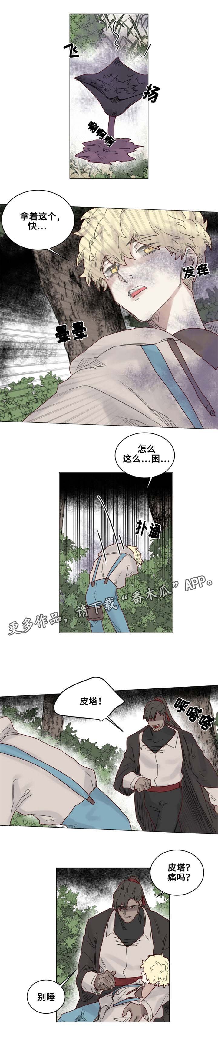 第20章：陌生的毒花